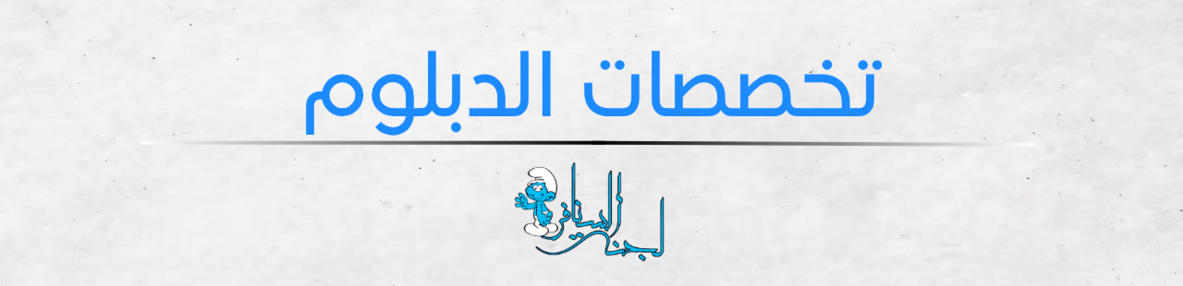 تخصصات الدبلوم